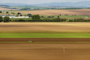 DLL | enOverviewAgriLandscape300x200