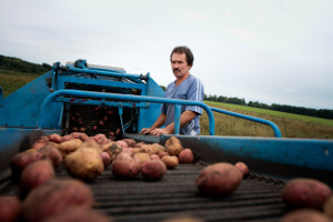 DLL | enOverviewPotatoHarvesting300x200