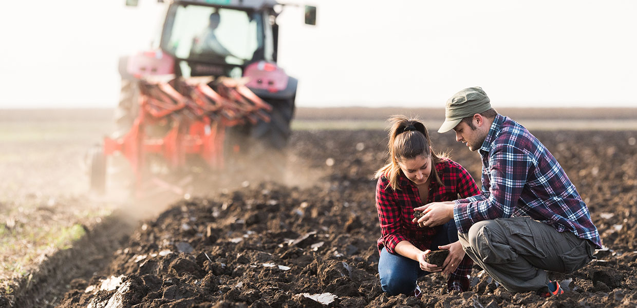 man and woman working on farm