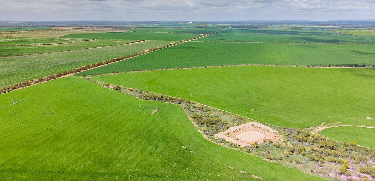 aerial view of farm land 