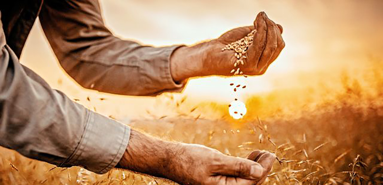 DLL | 2020servitization1240x600