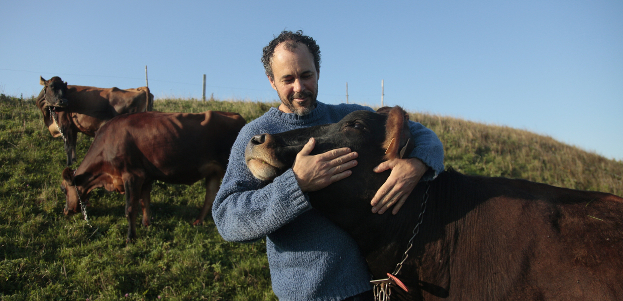 Farmer and cows