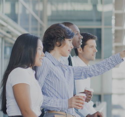 DLL | 2020pressmonitor250x234