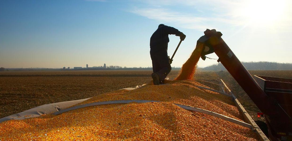 El leasing agrícola en Argentina: una puerta hacia la expansión productiva