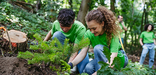 Biodiversity plant tree
