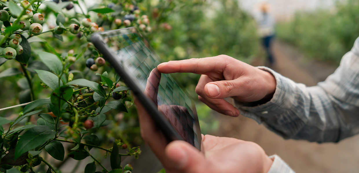 2025 Trends Innovations and Challenges in Agriculture and Food Systems