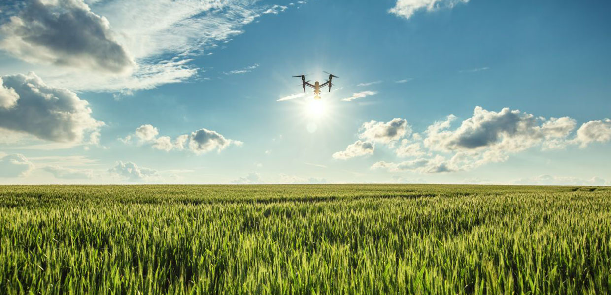 Drone hovering over a field