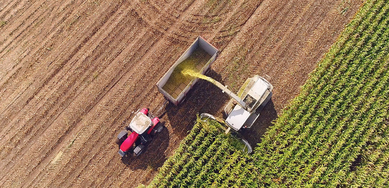 Tractor on farm